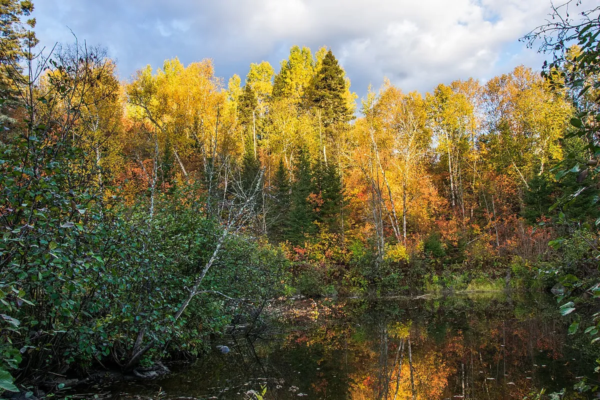 Les couleurs d’automne près de la rivière du Moulin, à Chicoutimi
